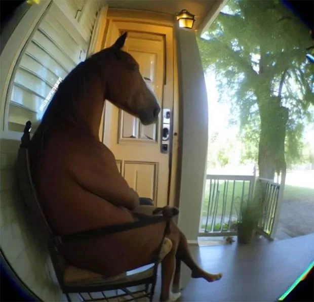 cavalo sentado no olho mágico