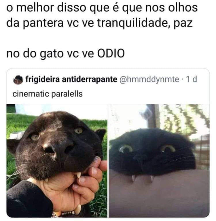 Onde você vê perigo?