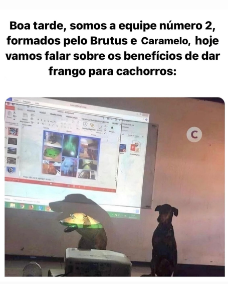 frango pra cachorro