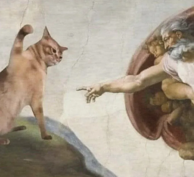 Inserindo um gato em uma arte