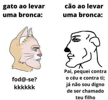 A diferença de um gato e um cachorro tomando bronca