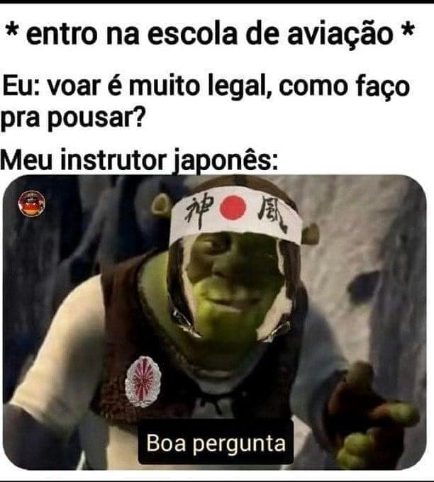 Aprendendo a voar de avião com um japonês