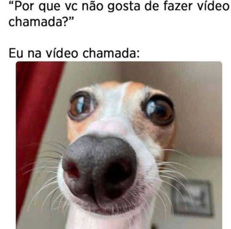 Por que eu não gosto chamada de vídeo