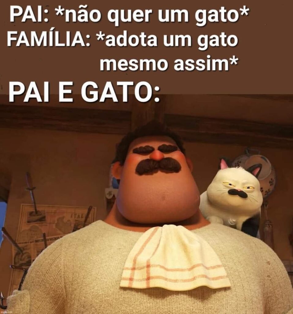 O gato tem mais prioridade que você agora