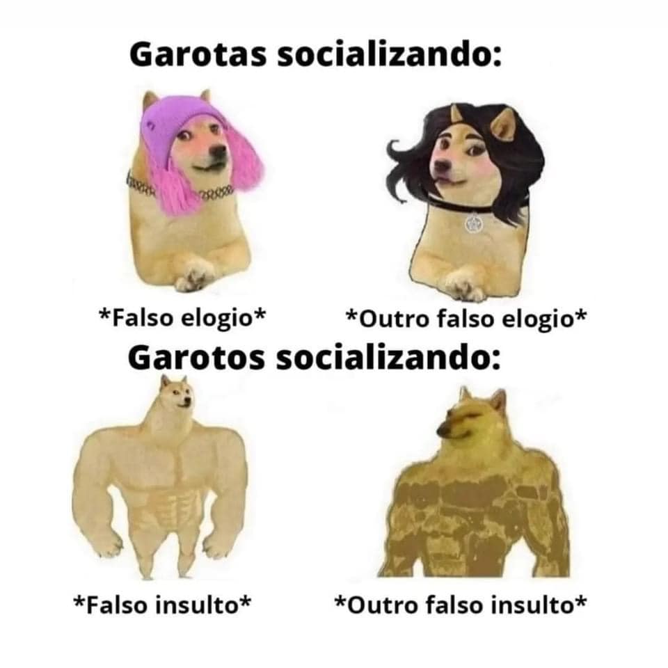 garotas e garotos socializando