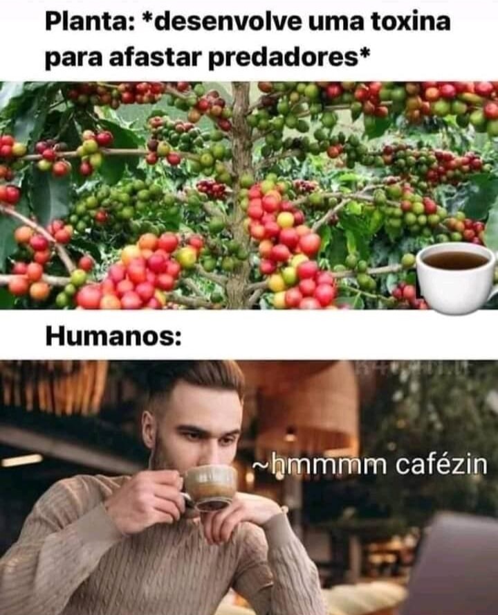 Cafezinho 