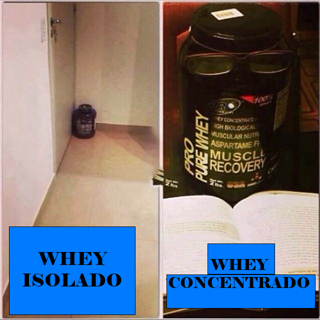 Sabe a diferença de um whey pro outro?