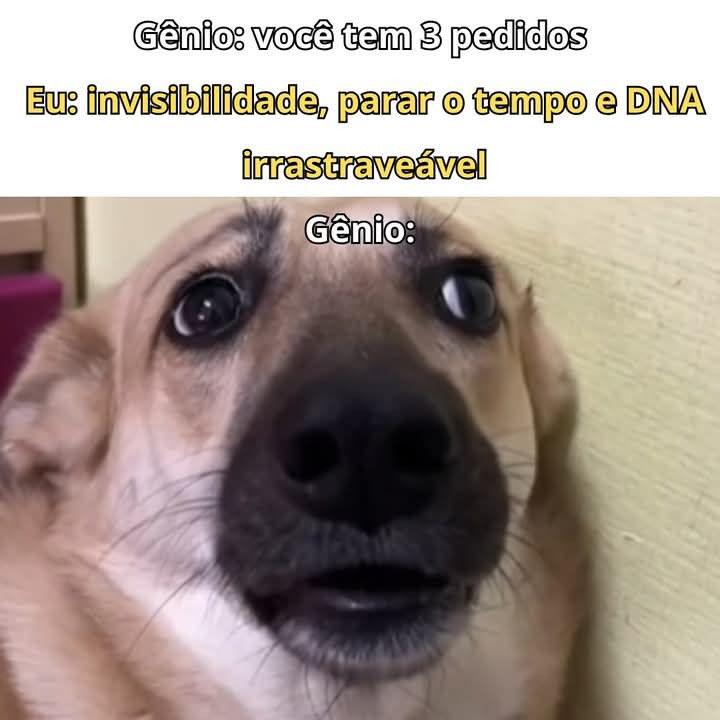 Três pedidos para o gênio
